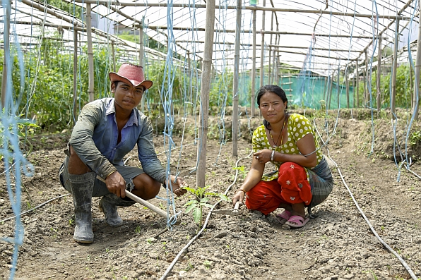 A couple working together in a farm where drip irrigation is used to irrigate.