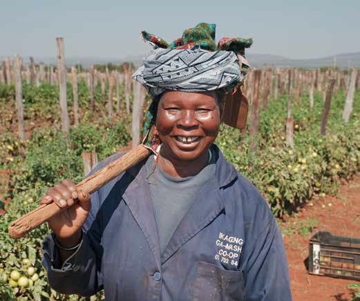 A farmer in the Ikageng women’s garden, Strydkraal, Flag Boshielo irrigation scheme, South Africa. Photo: Pinnie Sithole