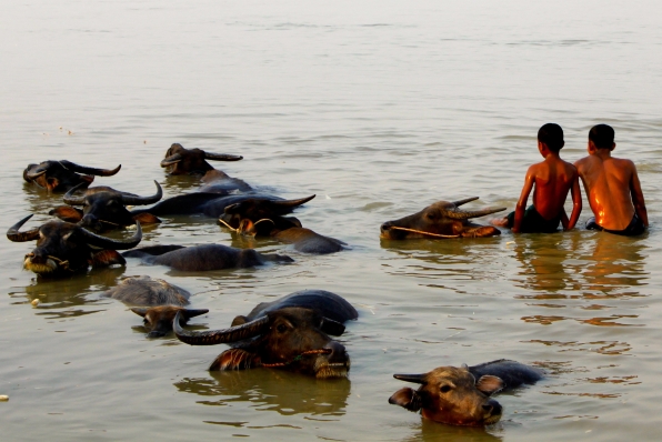 Myanmars Ayeyarwady River is vital for rural livelihoods