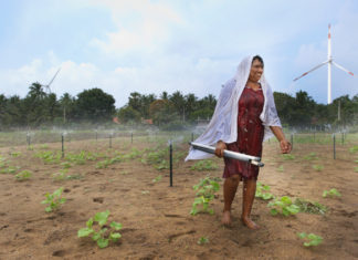Farmer Sumithra Damayanthi managing a sprinkler irrigation system at Navatkadu village in Sri Lanka’s Kalpitiya peninsula. Photo: Hamish John Appleby / IWMI