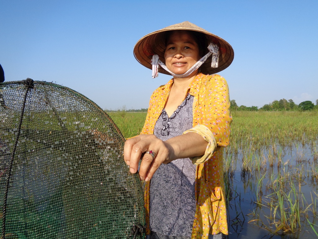 Fishing in a Mekong Delta rice field in Vietnam.