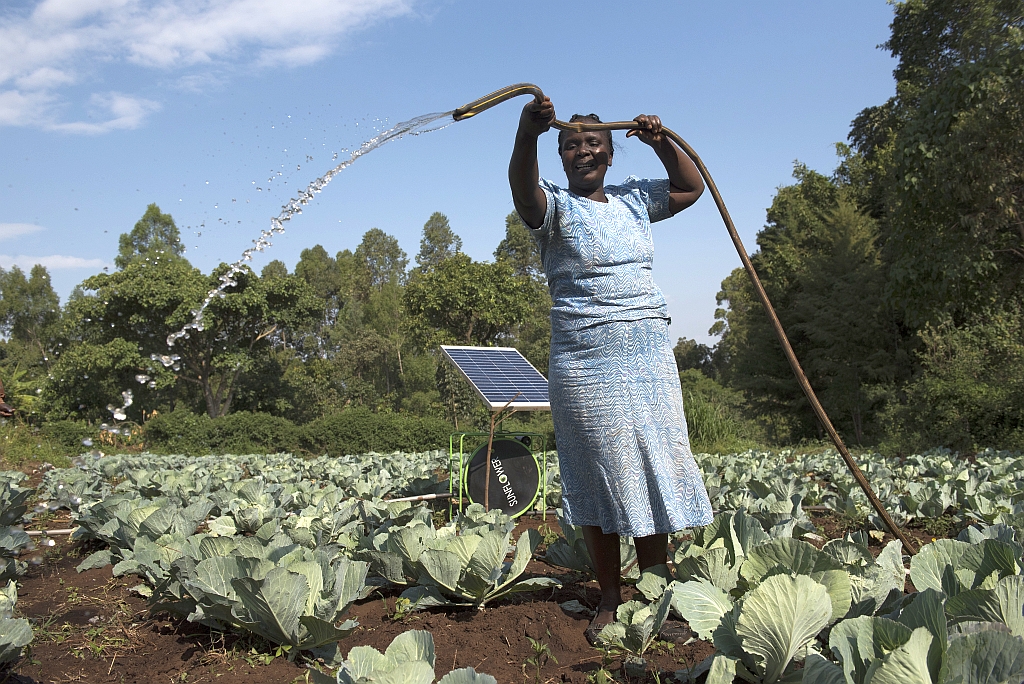 Rodah Tiyoi, of Kapsokwony, Kenya, launches water from the Futurepump solar irrigation system onto her cabbage crops on her family farm.
