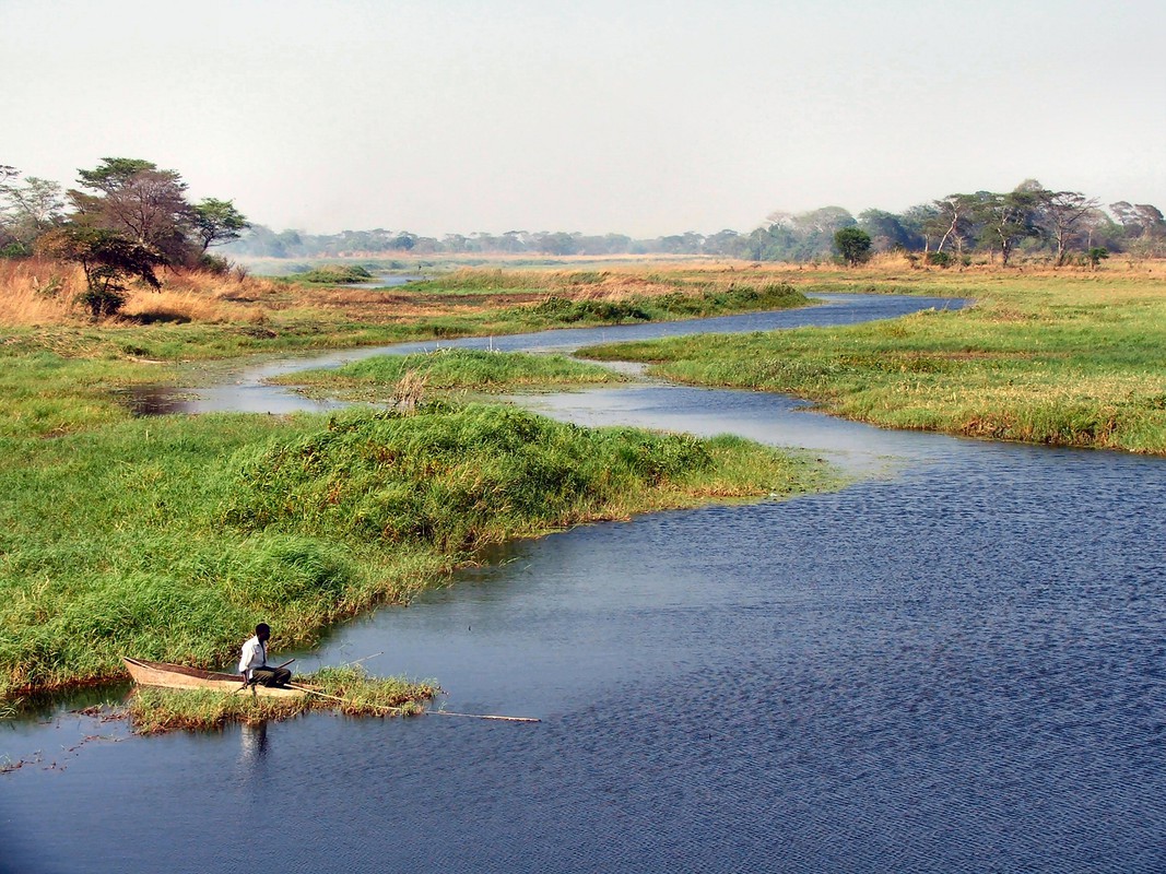The Lukanga wetlands in Kenya (Photo credit Matthew McCartney / IWMI)