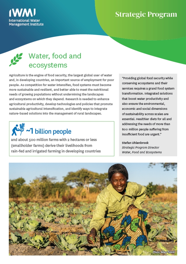 Download the Water, food, and ecosystems brochure
