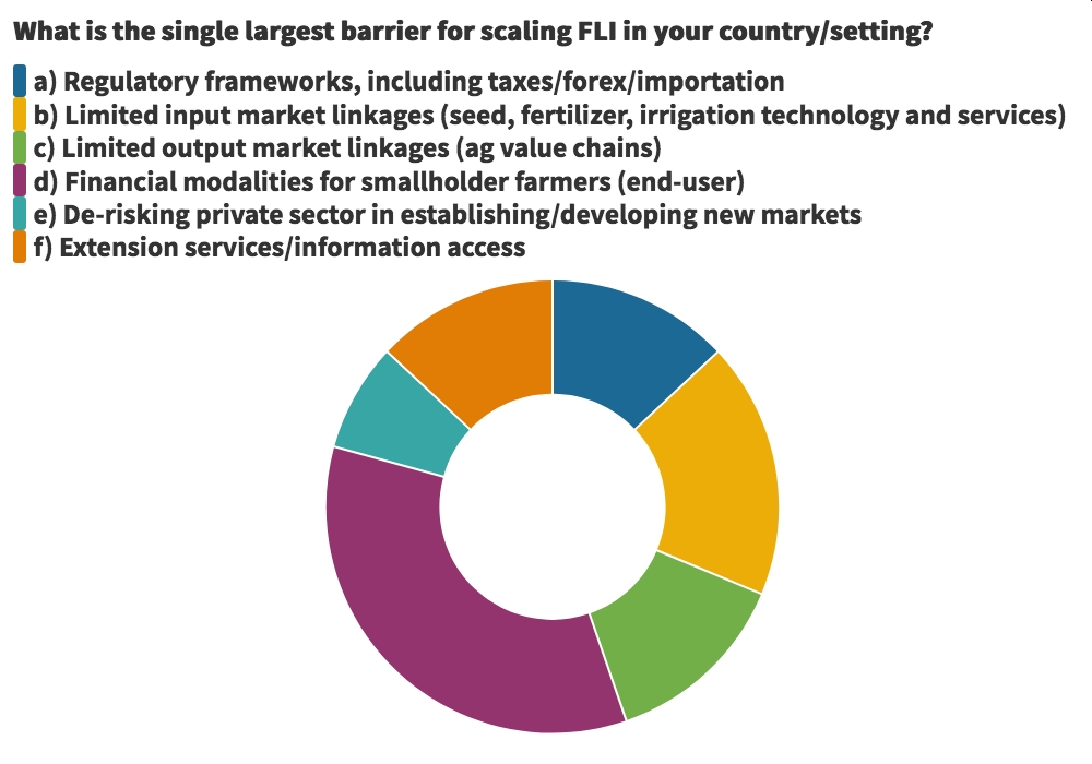 What is the single largest barrier for scaling FLI in your country/setting?