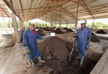 Workers turning compost made from fecal sludge and organic waste. Photo: Hamish John Appleby / IWMI