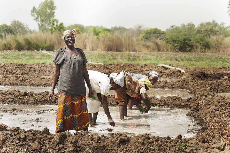Women planting onions in the Upper East Region of Ghana. Photo: Hamish John Appleby