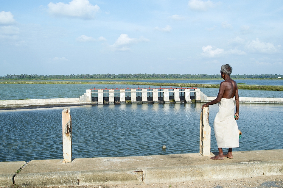 A reservoir at Arali in Jaffna, Sri Lanka. Photo: Hamish John Appleby / IWMI