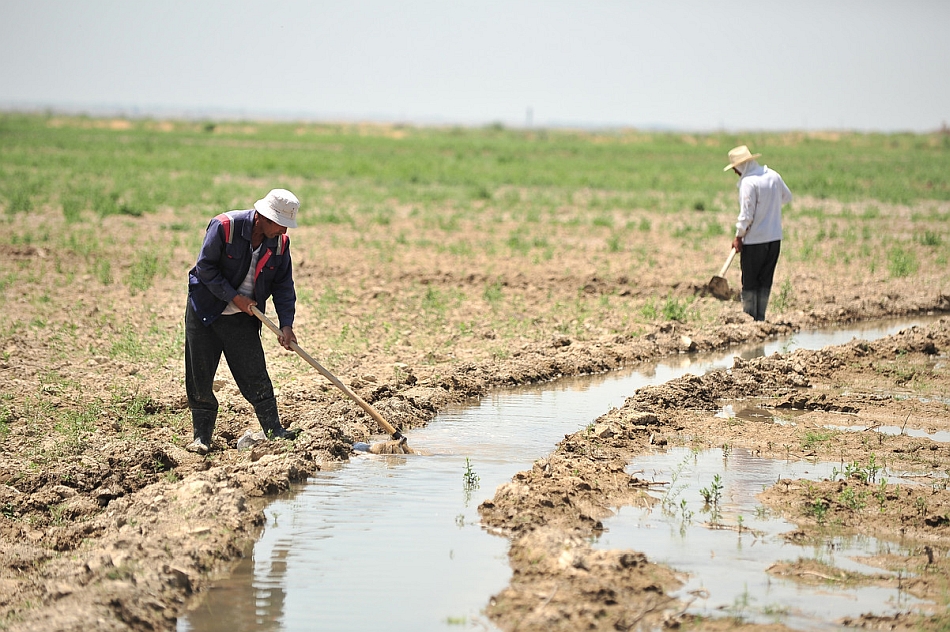 Farmer fixes edges of the waterway in a farm field in Central Asia. Photo: Neil Palmer / IWMI
