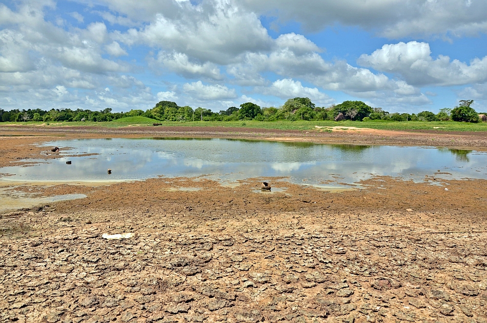 A drying lake in Thanthirimale located in the Anuradhapura District of Sri Lanka. Photo: Samurdhi Ranasinghe / IWMI