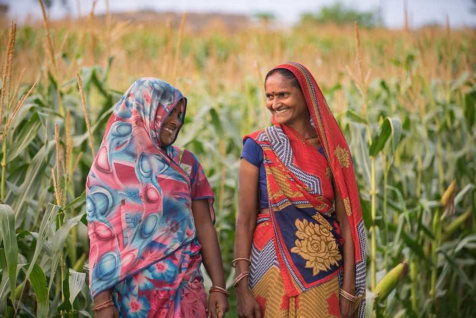 Maize farmers in India. Photo: Metro Media / IWMI