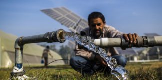 Use of solar water pumps in a farm in Haryana Country India. Photo: Prashanth Vishwanathan / IWMI