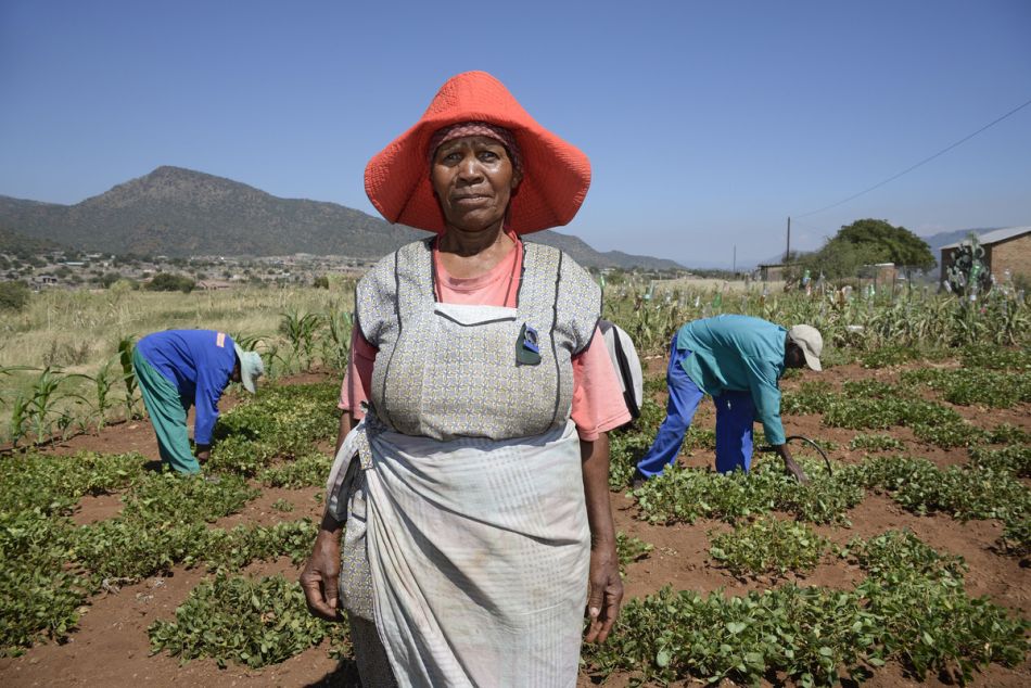 Woman working in a farm in South Africa. Photo: Graeme Williams / IWMI