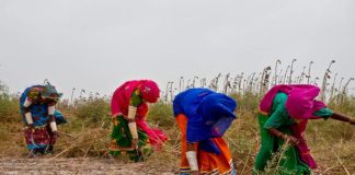 Women in rural Pakistan Photo: Asian Development Bank (ADB)