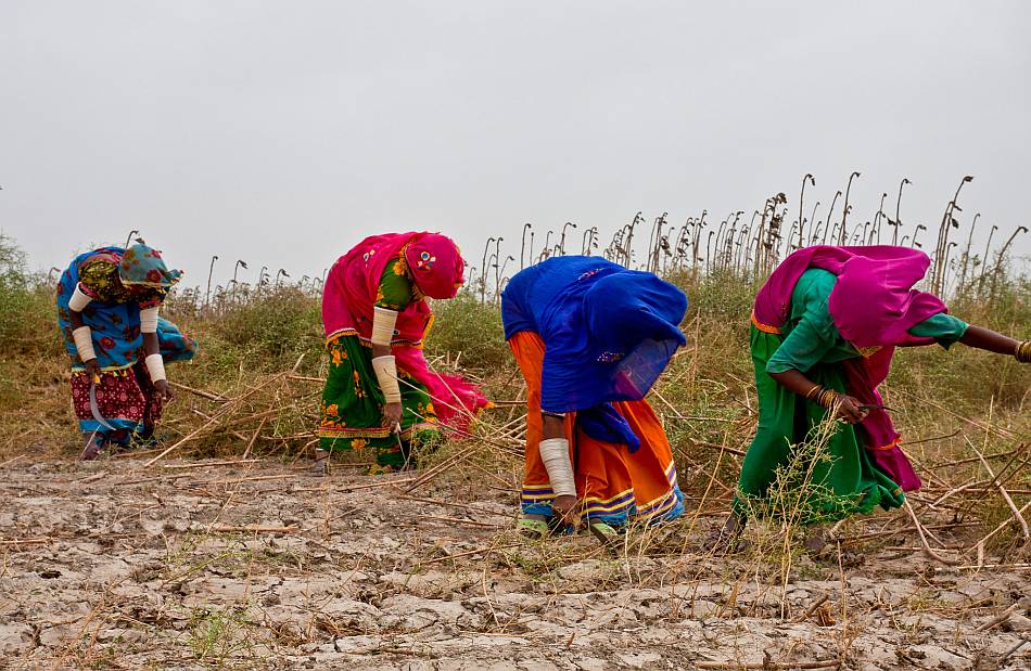 Women in rural Pakistan Photo: Asian Development Bank (ADB)