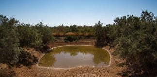 A drying water pond at the Azraq Basin. Photo: Seersa Abaza / IWMI