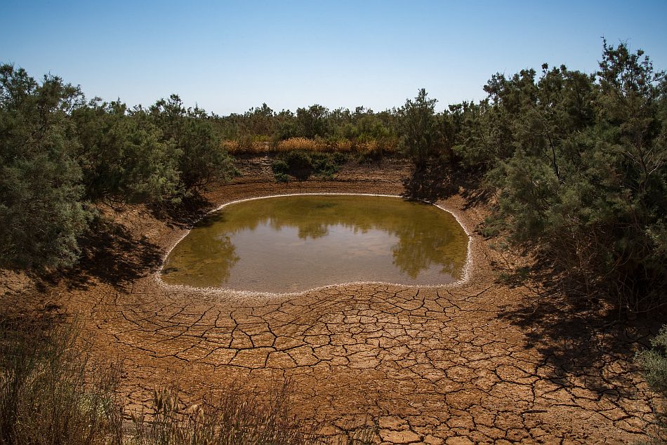 A drying water pond at the Azraq Basin. Photo: Seersa Abaza / IWMI 