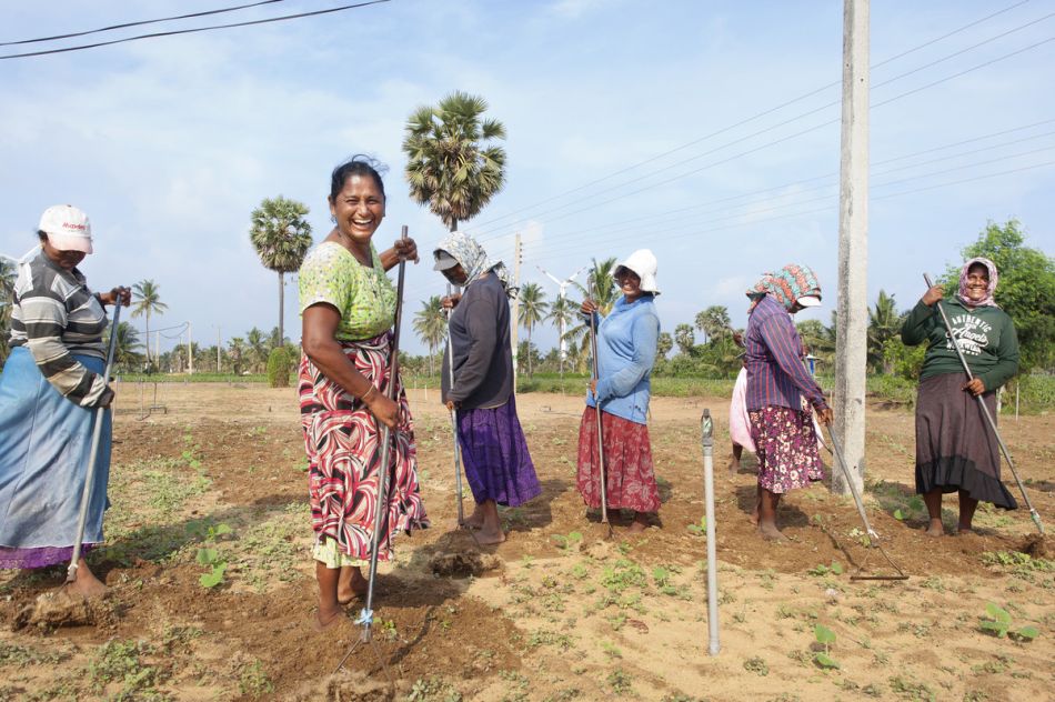 Group of farmers in Kalpitiya, Sri Lanka. Photo: Hamish John Appleby / IWMI