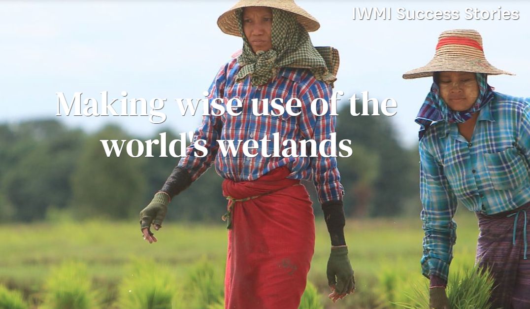 IWMI Success Story: Making wise use of the world's wetlands