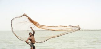 A fisherman casting his net at Tono dam, Upper East Region in Navrongo, Ghana. Photo: Hamish John Appleby / IWMI