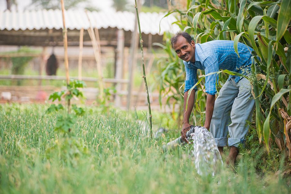 Irrigating onion crops, India. Photo: Metro Media / IWMI
