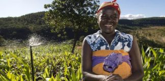 Catalyzing Farmer-Led Irrigation Development in a Changing Climate: Four Key Research Areas for Achieving Scale and Impact
