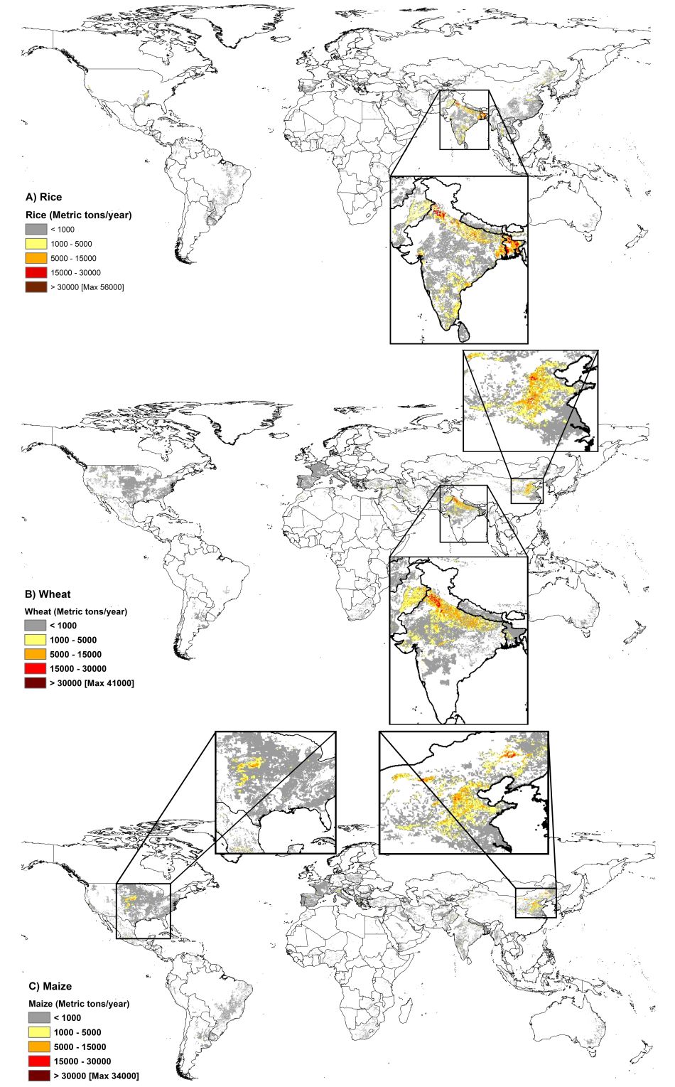 Global map of rice, wheat, and maize production from groundwater irrigation in high arsenic risk areas 