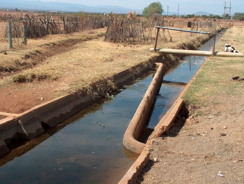 African Business: Smarter management of water can help feed Africa
