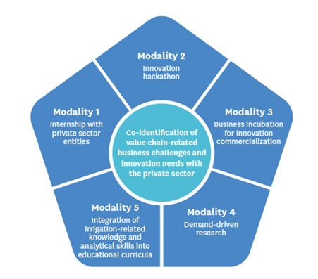 The five modalities of the internship and innovation grant (I2G) pathway for capacity development