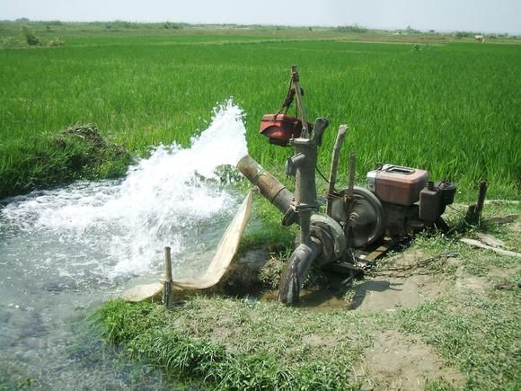 News Break: Farmers accidentally created a flood-resistant ‘machine’ across Bangladesh