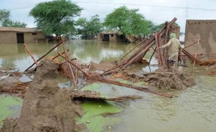 Urdu Point: IWMI offers support to Pakistan govt to deal with unprecedented floods