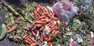 Vegetable waste generated in the Colombo vegetable wholesale market (Photo: Nalaka Wickramasinghe/IWMI)