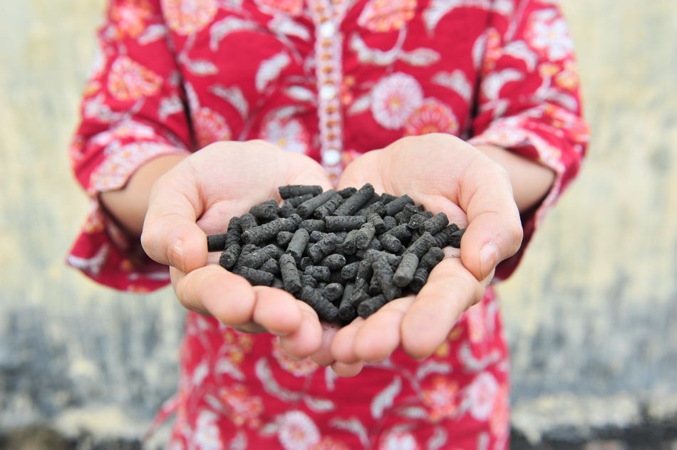 Fecal sludge is dried, mixed with organic food waste, composted, and enhanced with nutrients to be converted into an organo-mineral fertilizer. Photo: Neil Palmer/IWMI