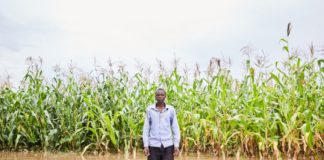 A maize farmer affected by flooding in Southern Province, Zambia. Photo: CGIAR Climate Resilience initiative.