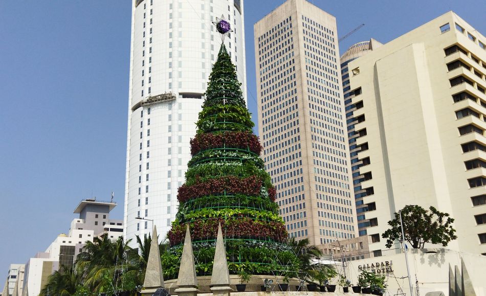 The private sector showed their support for urban agriculture by constructing a Christmas tree made entirely from different vegetables in central Colombo, Sri Lanka (Photo: IWMI)