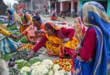 Women sell vegetables at a hat bazaar market in the Siraha District, Nepal. Photo: Nabin Baral / IWMI