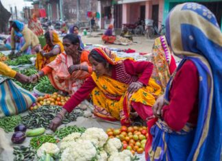 Women sell vegetables at a hat bazaar market in the Siraha District, Nepal. Photo: Nabin Baral / IWMI