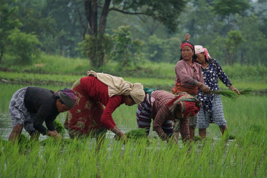 Kathmandu Post: Reviving Nepal’s agriculture