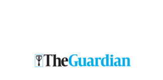 The Guardian Nigeria logo