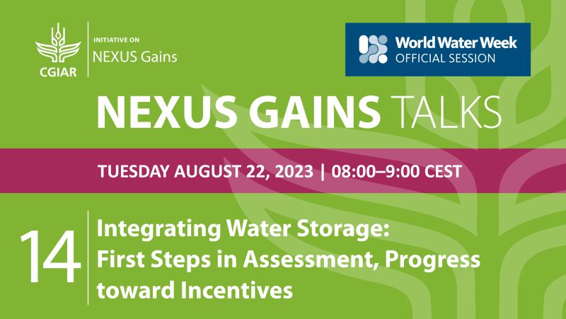 NEXUS Gains Talk 14: Integrating Water Storage: First Steps in Assessment, Progress toward Incentives