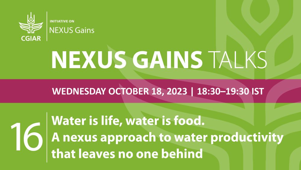 NEXUS Gains Talk 16: Water is life, water is food: A nexus approach to water productivity that leaves no one behind