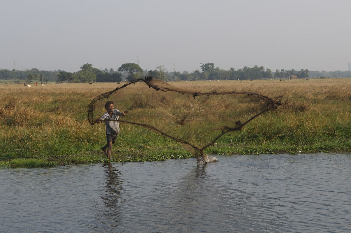 Increasing the benefits and sustainability of irrigation through the integration of fisheries: a guide for water planners, managers and engineers