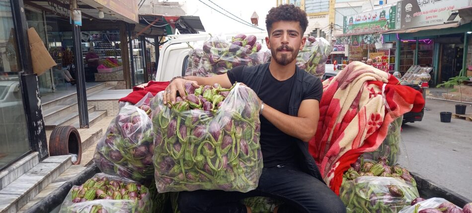 Borewell irrigated vegetables being delivered to Ramtha Market