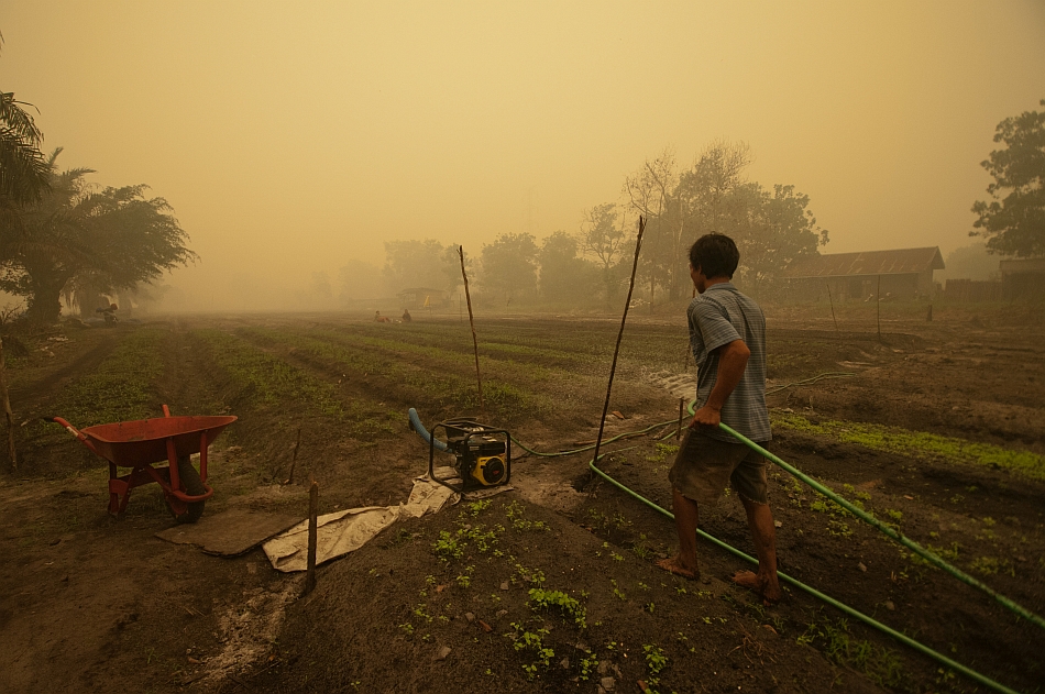 Man, farms through the haze of smoke from nearby wildfires. Aulia Erlangga/CIFOR