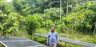 Peter Oppong on his cocoa farm in the Ashanti region. Kekeli Gbodji / IWMI.