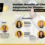 Multiple benefits of climate adaptation for disaster-related forced displacement