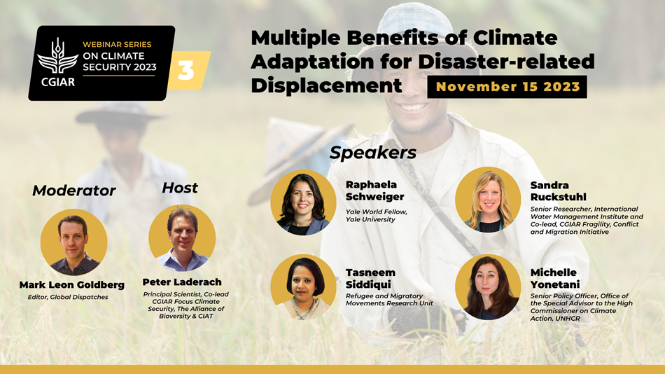 Multiple benefits of climate adaptation for disaster-related forced displacement