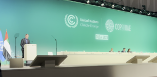 COP28 Head of Delegation statement by IWMI director general Mark Smith