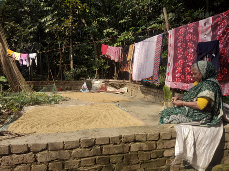 An elderly woman drying rice in the courtyard of her house in Barishal, Bangladesh. Sushmita Datta