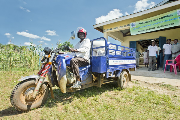Model farmer in Uganda, Serere, 2013. Rein Skullerud / WFP